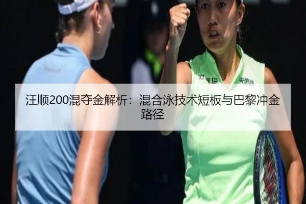 wang-shun-hun-duo-jin-jie-xi-hun-he-yong-ji-shu-duan-ban-yu-ba-li-chong-jin-lu-jing-2-504.jpg