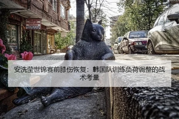 an-xi-ying-shi-jin-sai-qian-xi-shang-hui-fu-han-guo-dui-xun-lian-fu-he-tiao-zheng-de-zhan-shu-kao-liang-3-908.jpg